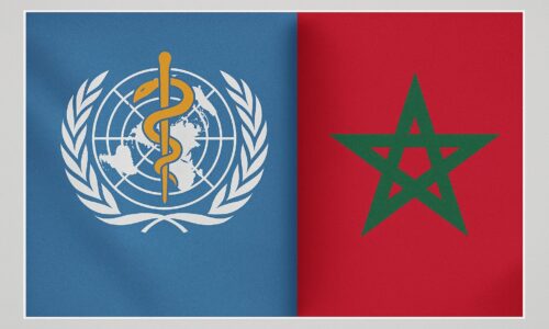 Un_pilier_strategique_de_l_industrie_pharmaceutique_marocaine_B